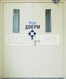  Двустворчатая дверь со стеклопакетом, доводчиком и отделкой порошковым напылением