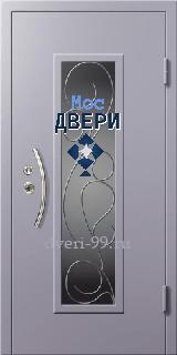 Уличная дверь стальная Дверь со стеклом и порошковым напылением №1