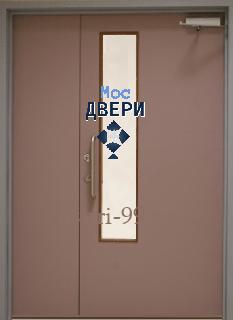 Входная Двухстворчатая техническая дверь со стеклопакетом №18